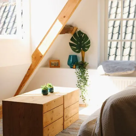 Apartament The Old Veggie Shop Haarlem