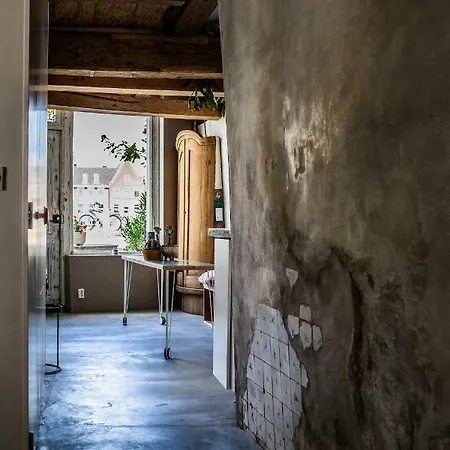 The Old Veggie Shop Apartament Haarlem